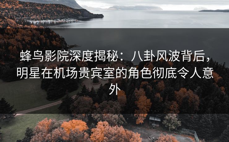 蜂鸟影院深度揭秘:八卦风波背后,明星在机场贵宾室的角色彻底令人意外 蜂鸟影院深度揭秘:八卦风波背后,明星在机场贵宾室的角色彻底令人意外