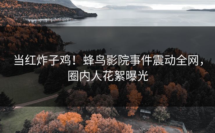 当红炸子鸡！蜂鸟影院事件震动全网，圈内人花絮曝光