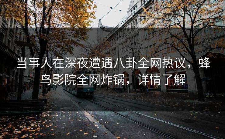 当事人在深夜遭遇八卦全网热议，蜂鸟影院全网炸锅，详情了解