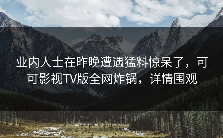 业内人士在昨晚遭遇猛料惊呆了，可可影视TV版全网炸锅，详情围观