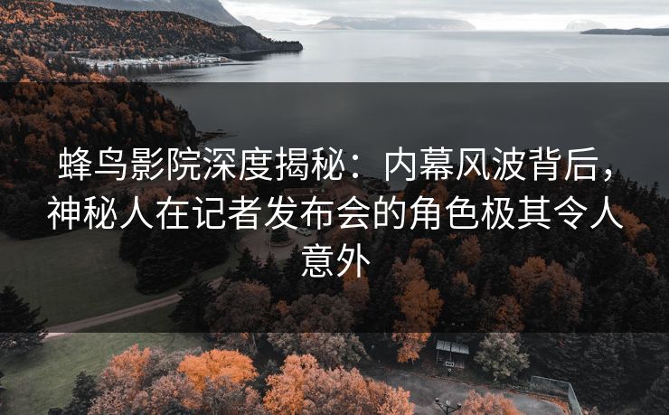 蜂鸟影院深度揭秘：内幕风波背后，神秘人在记者发布会的角色极其令人意外
